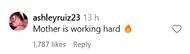 Fan's comment (image via Instagram)